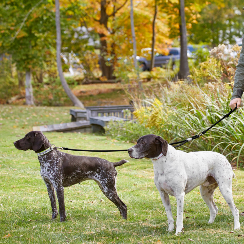 Adjustable Two-Dog Leash