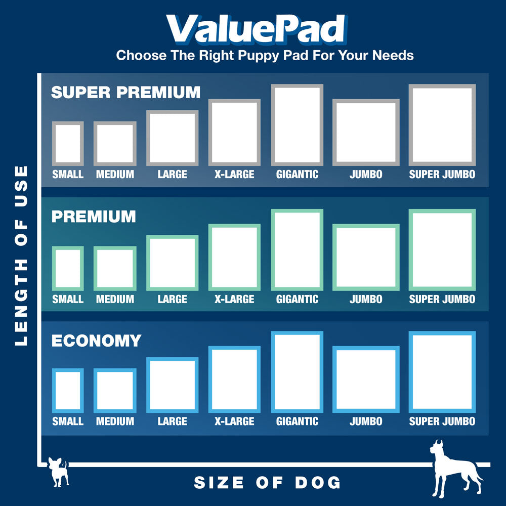 ValuePad Puppy Pads, Large 28x30 Inch, 300 Count BULK PACK - Economy Training Pads for Dogs, Leak Proof 5-Layer Design 